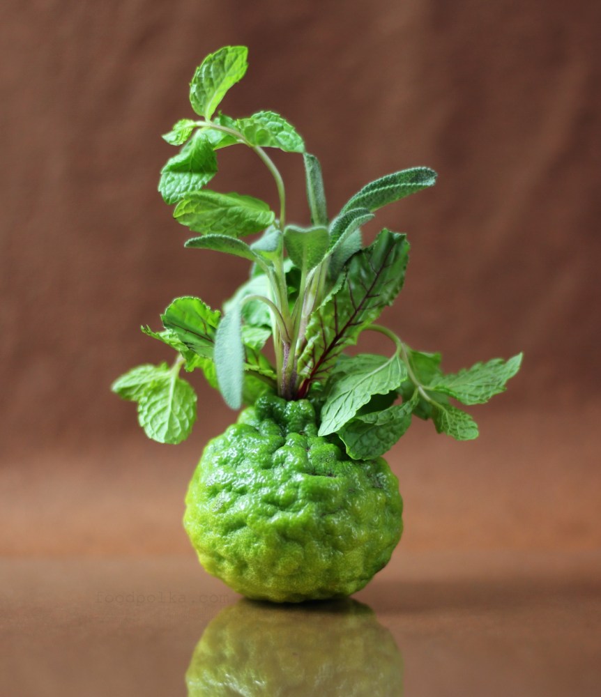 09 11 15 kafir lime vase (7a) FP