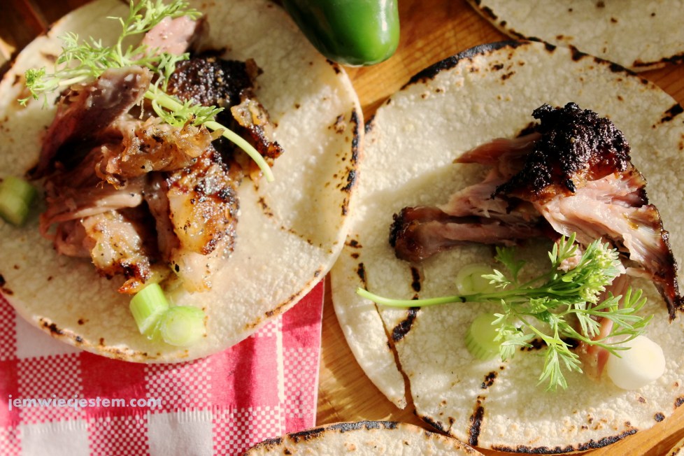 05 30 14 carnitas tacos (31) JWJ