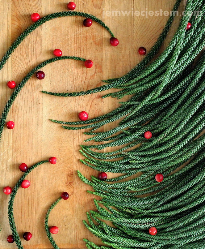 12 21 14 christmas tree (3) JWJ