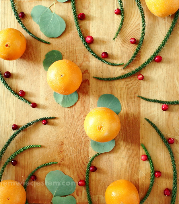 12 21 14 cranberry orange christmas (2) JWJ