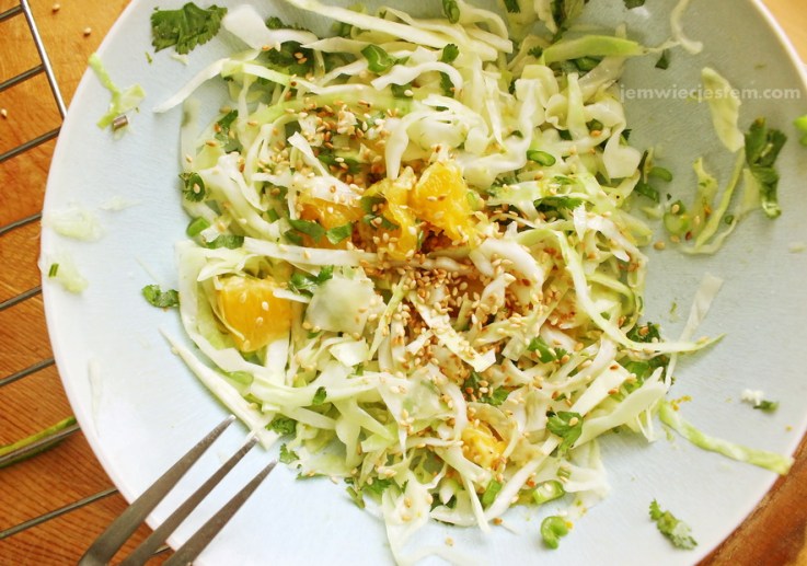 01 30 15 asian cabbage slaw and pork (6) JWJ